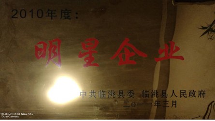 2010年度明星企业