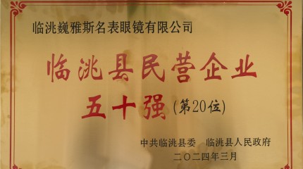 临洮公司入列2023年度临洮县民营企业50强及行业10强榜单