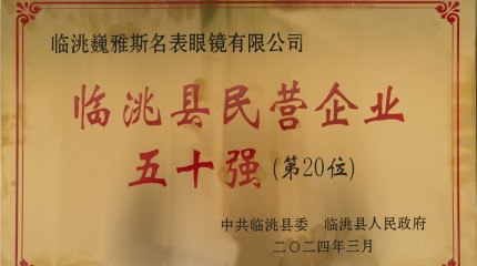 临洮公司入列2023年度临洮县民营企业50强及行业10强榜单